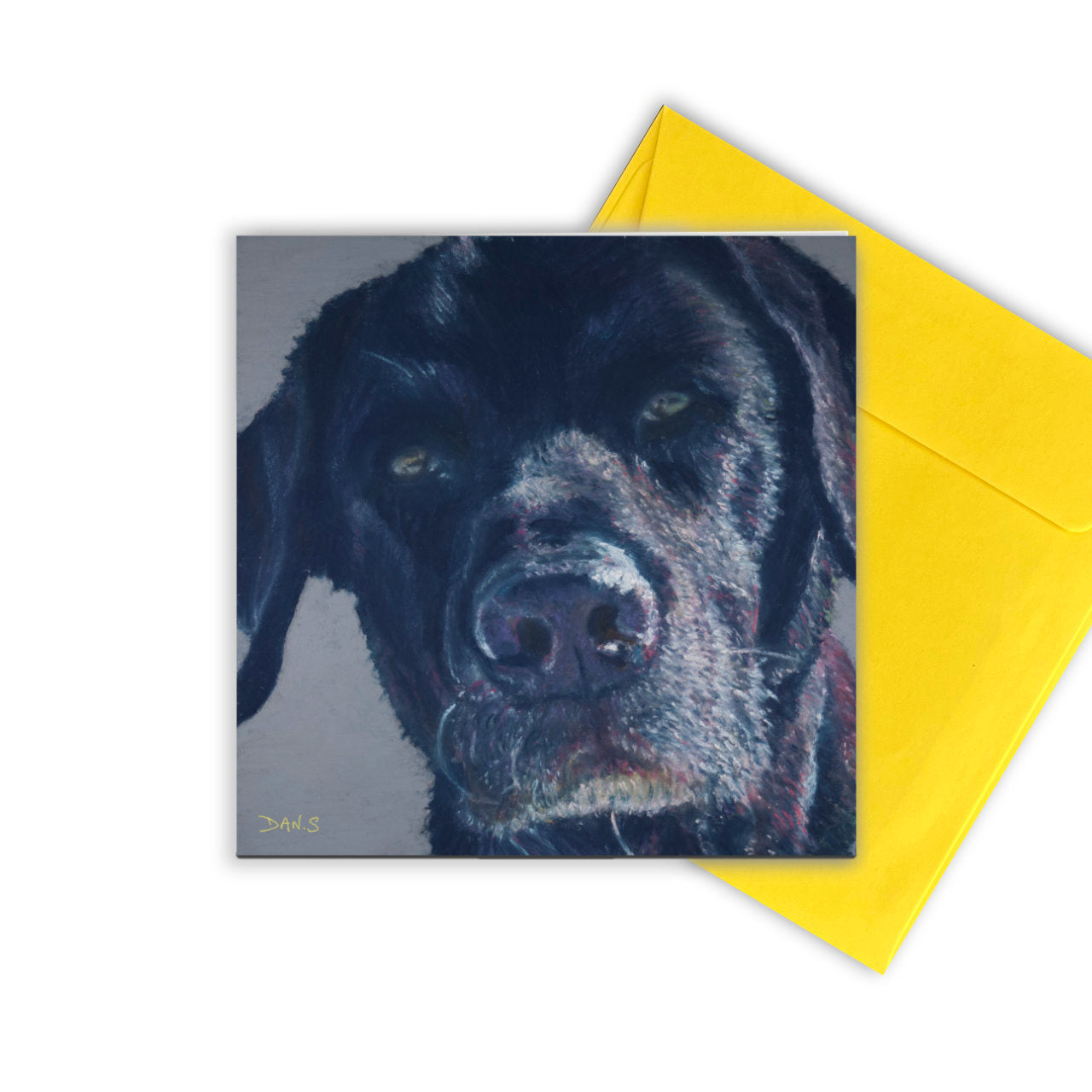 Picture a greetings card featuring a black Labrador including a yellow envelope