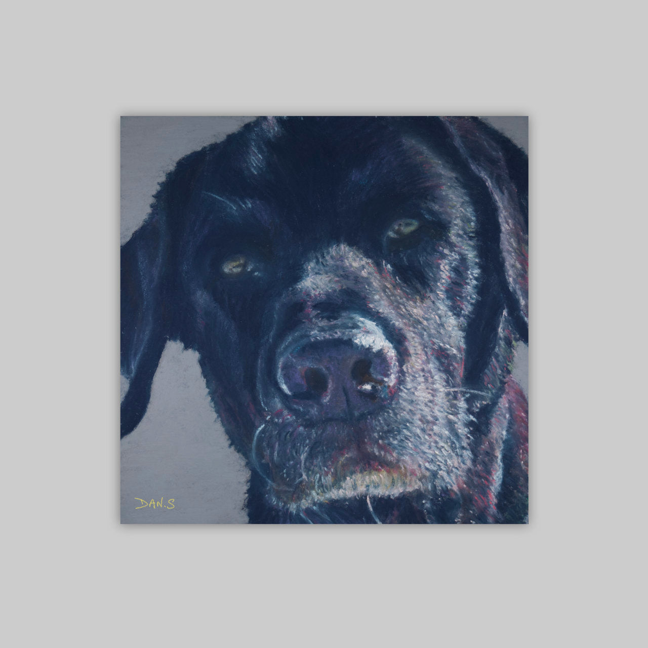 Print of a black Labrador