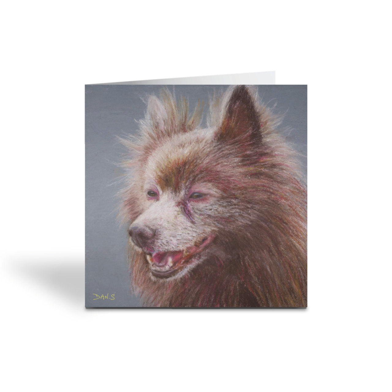 Picture of a greetings card with German Spitz on a grey background
