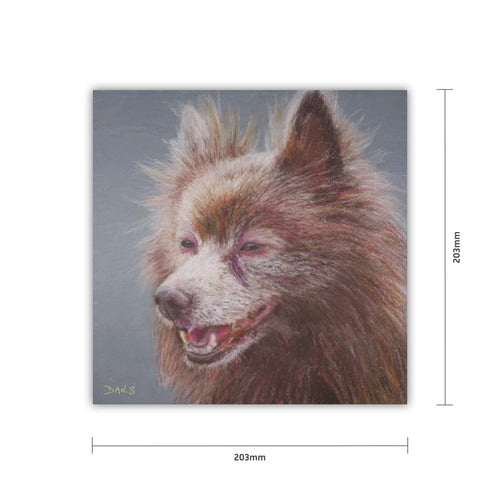 Picture of a German Spitz on a grey background with measurements