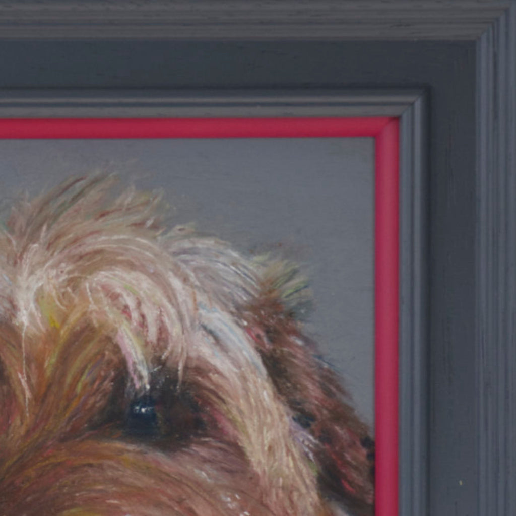Close-up of a terrier's face with a gray frame and pink inner border