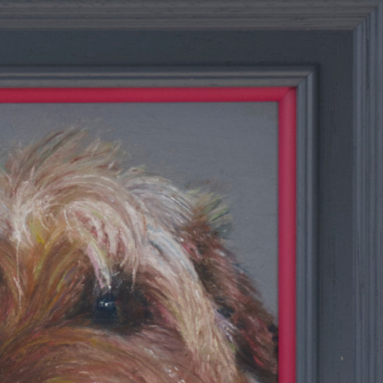 Close-up of a terrier's face with a gray frame and pink inner border