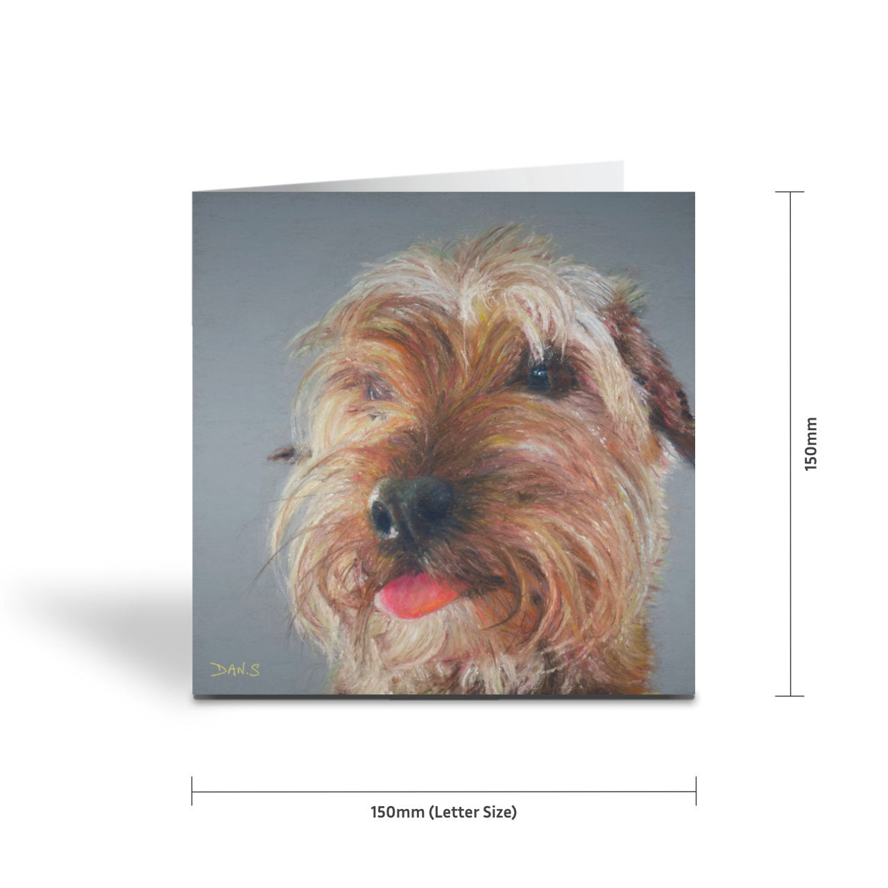 Picture of a terrier dog on a grey background with measurements