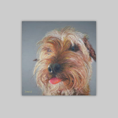 Picture of a terrier dog on a grey background