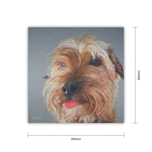 Picture of a terrier dog on a grey background